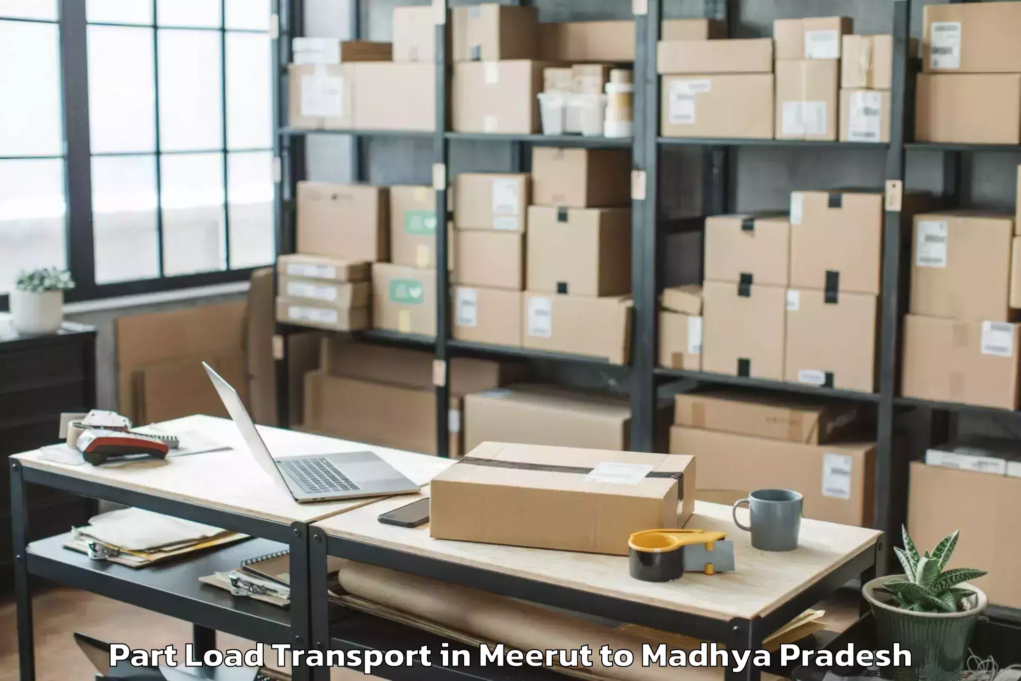 Professional Meerut to Khargone Part Load Transport